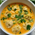 Curry Dumpling Soup