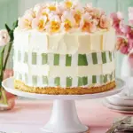Irresistible Coconut Cream Gingham Cake for Every Occasion 6 Coconut Cream Gingham Cake